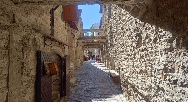 Tallinn Medieval Wall, Towers and Bastions Free Tour Provided by Amici optimi tours