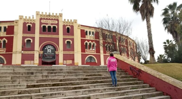 Visita libera: Mérida Casa de Mitreo, incluso biglietto d'ingresso, Spain