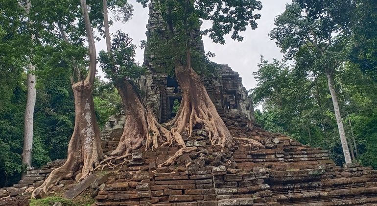 private-one-day-trip-experience-in-siem-reap-en-12