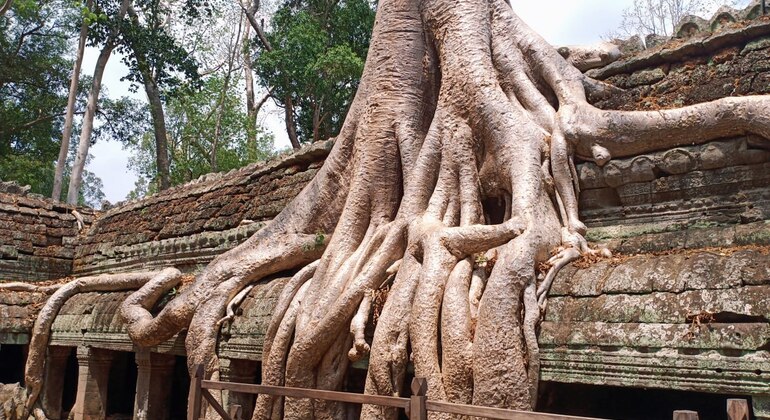 private-one-day-trip-experience-in-siem-reap-en-21