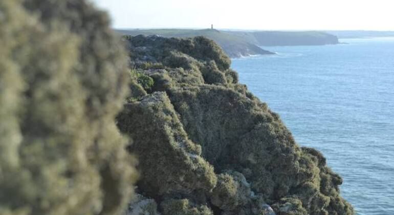 discover-polzeath-to-pentire-on-a-free-walking-tour-es-6