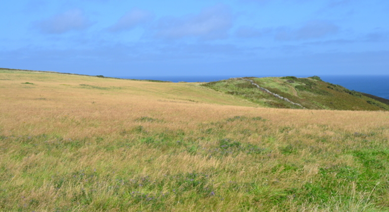 discover-polzeath-to-pentire-on-a-free-walking-tour-es-9