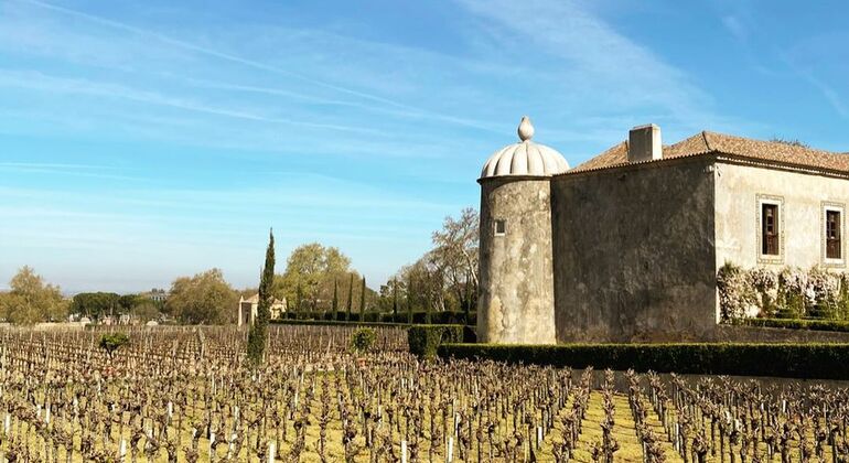 lisbon-wine-tour-through-sesimbra-arrabida-setubal-es-10