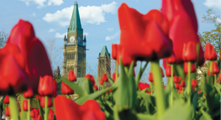 free-historical-highlights-walking-tour-of-ottawa-es-1