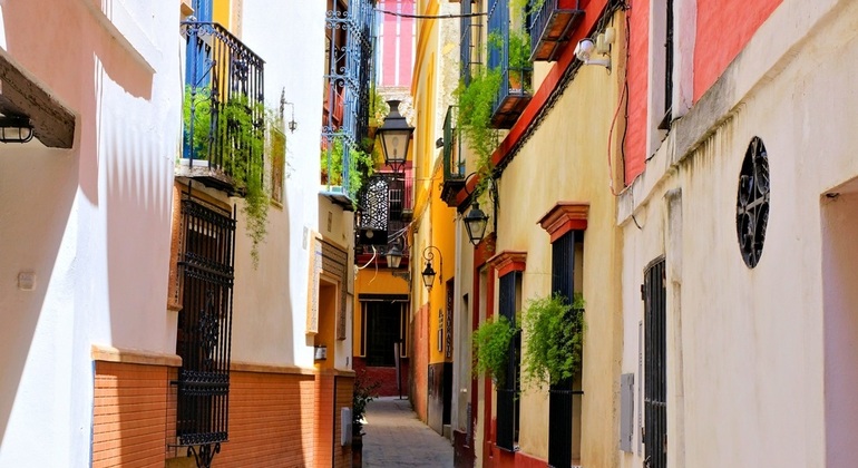 Santa Cruz e o bairro judeu Seville FREETOUR