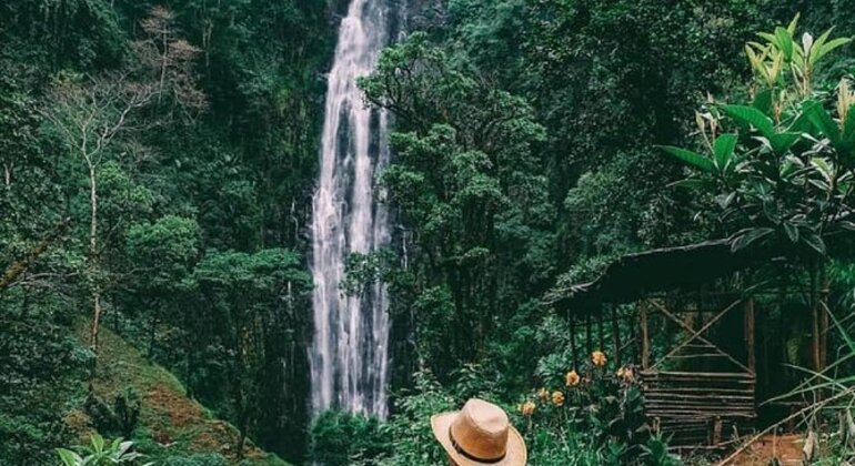 Caminhada até às cataratas de Materuni e café