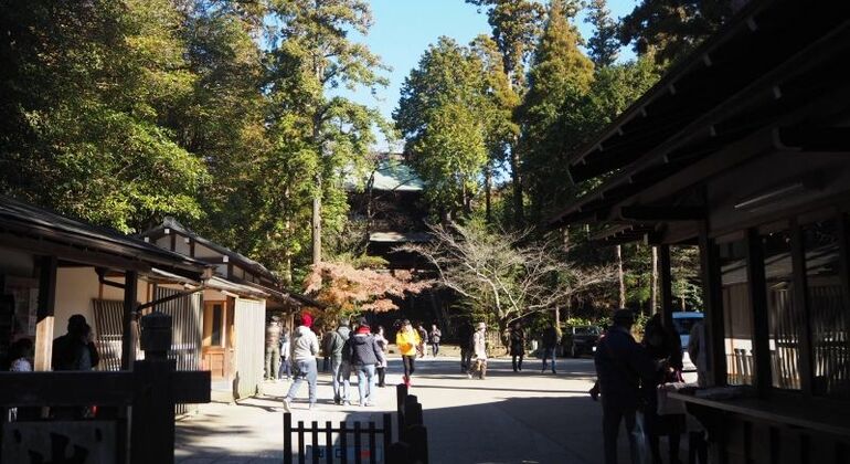 kamakura-highlight-tour-with-maru-en-5