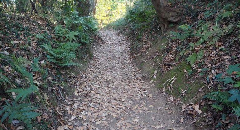 kamakura-highlight-tour-with-maru-en-10