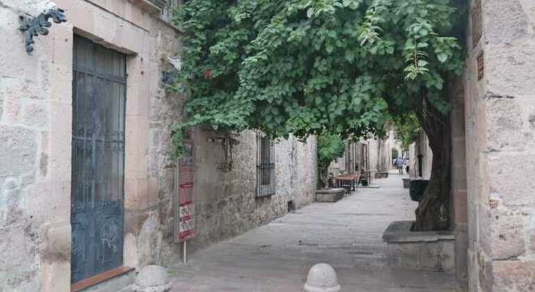 Free Tour of Morelia's Romantic Corners Provided by Flor de Canela