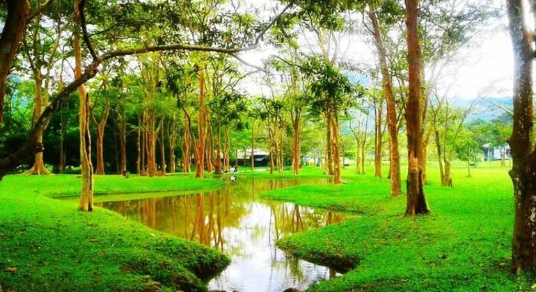 Visite du jardin botanique de Seethawaka en voiture ou en tuk, Sri Lanka