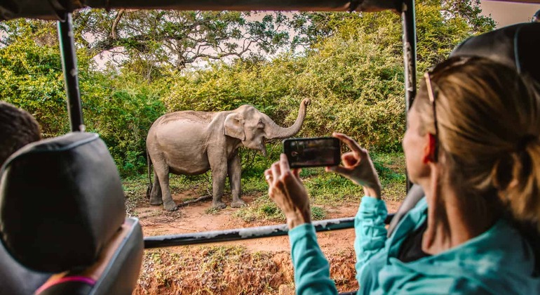 De Colombo a Yala National Park Safari Tour Sri Lanka — #1