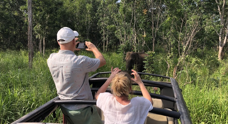 Safari en jeep à dos d'éléphant dans le parc national de Minneriya Fournie par Dinesh Priyankara