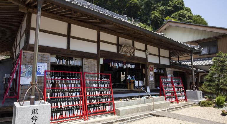 Nagoya: Excursión en Coche con Todo Incluido al Valle de Korankei, Japan