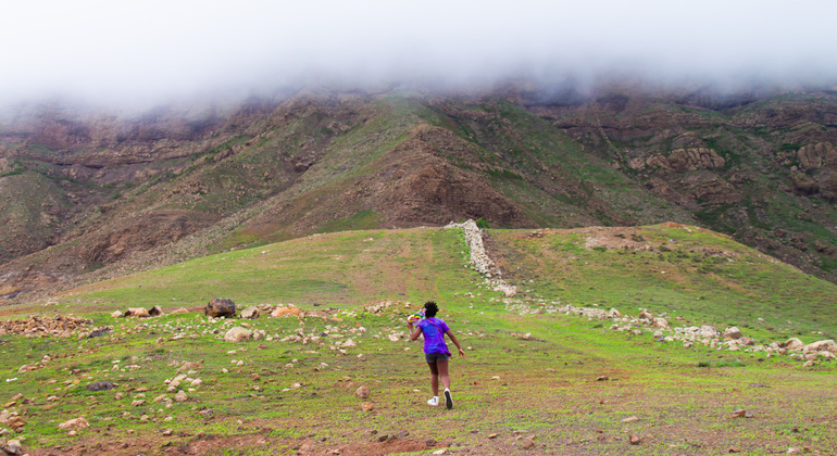 mountain-tea-experience-in-monte-verde-es-9