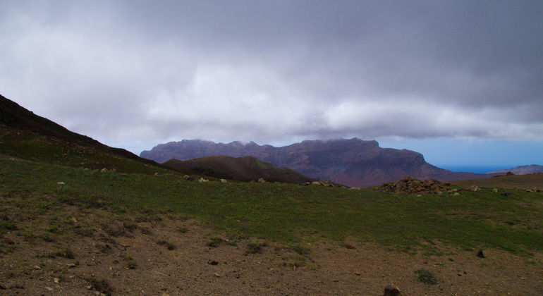 Experiência de chá de montanha em Monte Verde Cabo Verde — #1