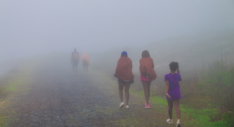 mountain-tea-experience-in-monte-verde-es-14