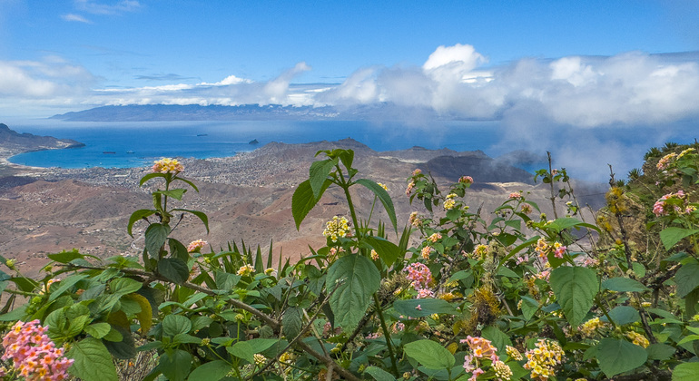 mountain-tea-experience-in-monte-verde-es-13