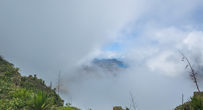 mountain-tea-experience-in-monte-verde-es-16