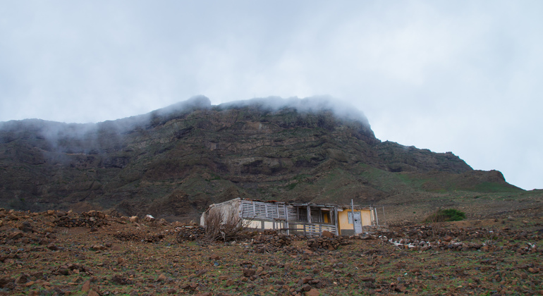 mountain-tea-experience-in-monte-verde-es-12