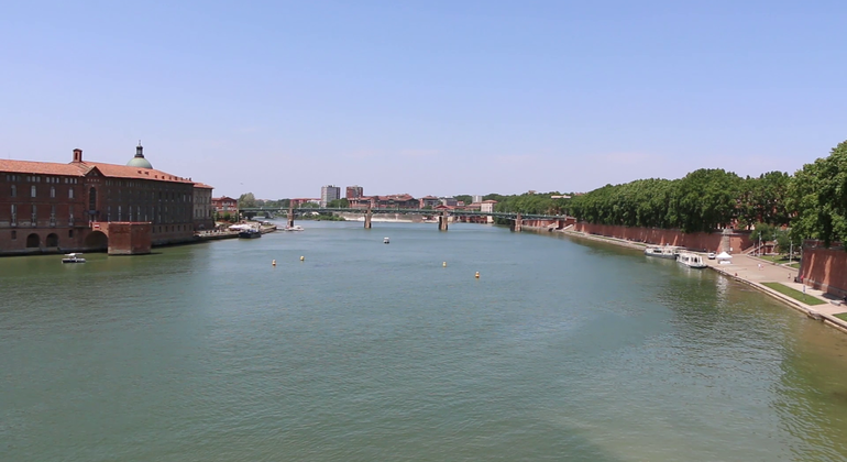 Tour gratuito: Visita del centro di Tolosa, France