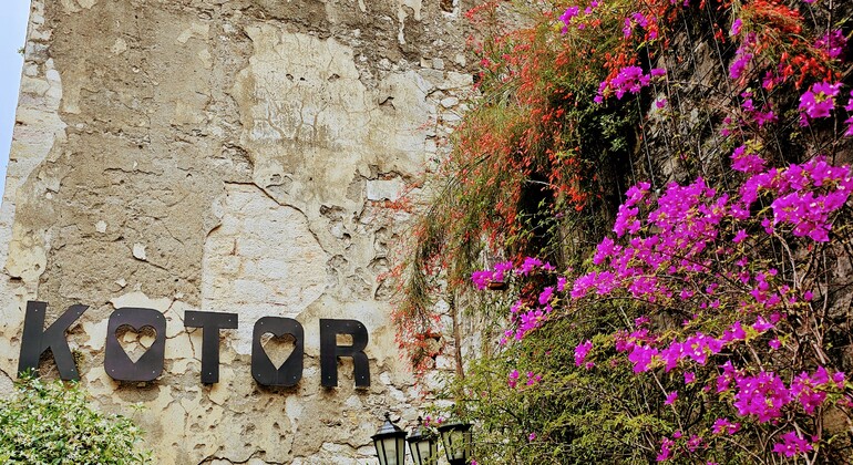 Kotor : un voyage du passé au présent