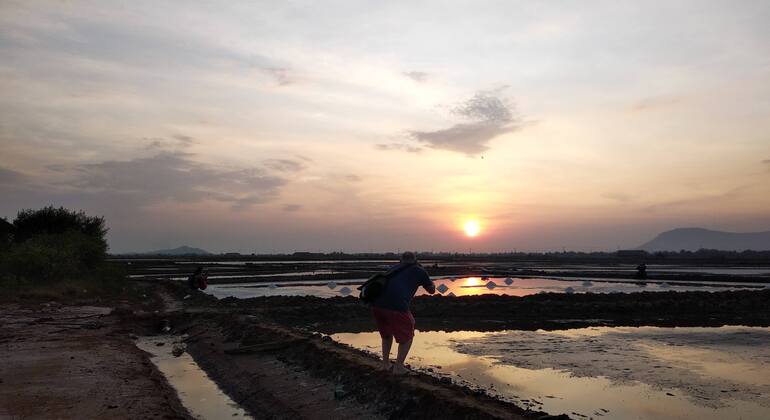 rural-kampot-pepper-plantation-tour-es-3