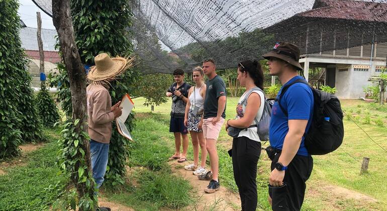 rural-kampot-pepper-plantation-tour-es-25