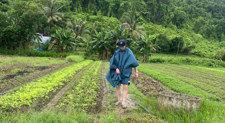 rural-kampot-pepper-plantation-tour-es-26