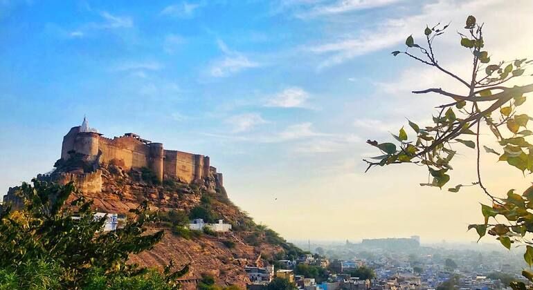 Free Walking Tour in Jodhpur