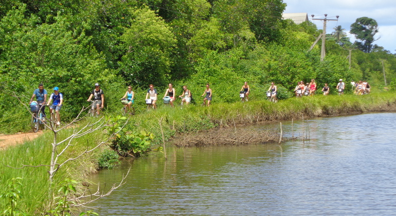 Tour in bicicletta della laguna e del villaggio