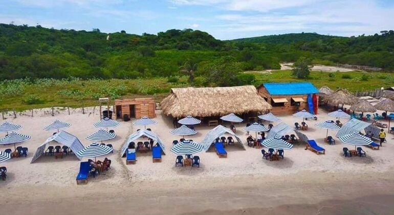 Playa y Diversión en un Día