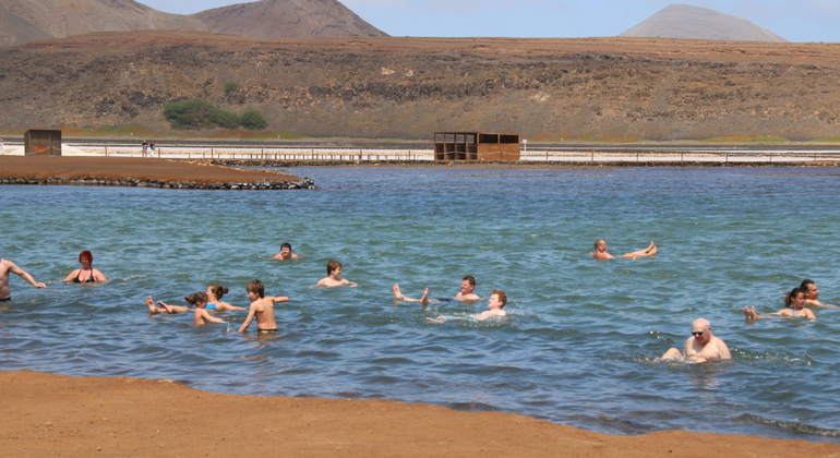 Shark Bay & Sal Lakes Tour Bereitgestellt von Celsa Wendy Fernandes