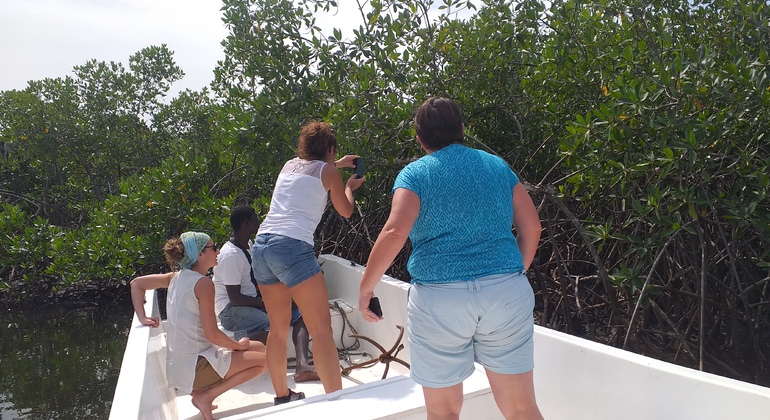 Scoprire le isole della Casamance Fornito da Aliou Diop