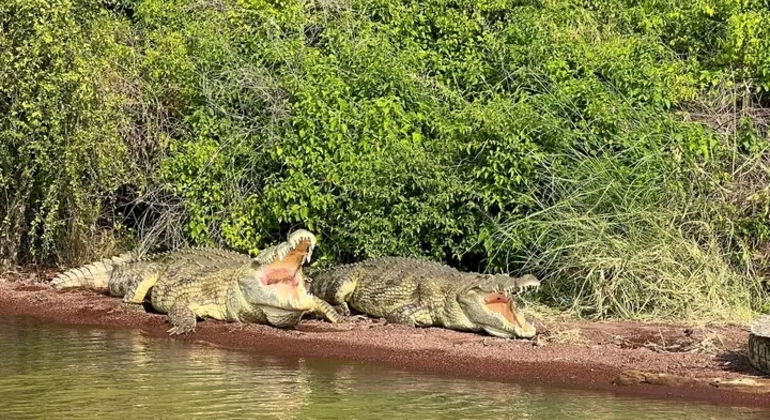 Viagem pelas raízes do sul da Etiópia