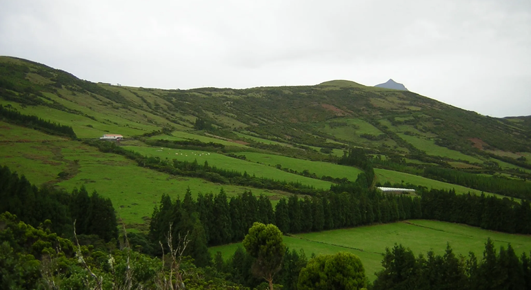 volcano-watching-cloud-forest-unesco-geopark-en-2