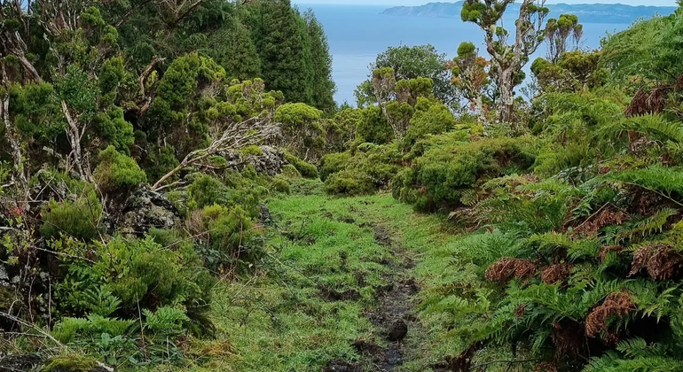 volcano-watching-cloud-forest-unesco-geopark-en-5