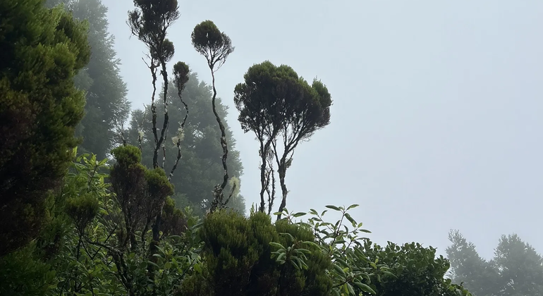 volcano-watching-cloud-forest-unesco-geopark-en-6