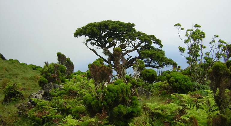 volcano-watching-cloud-forest-unesco-geopark-en-3