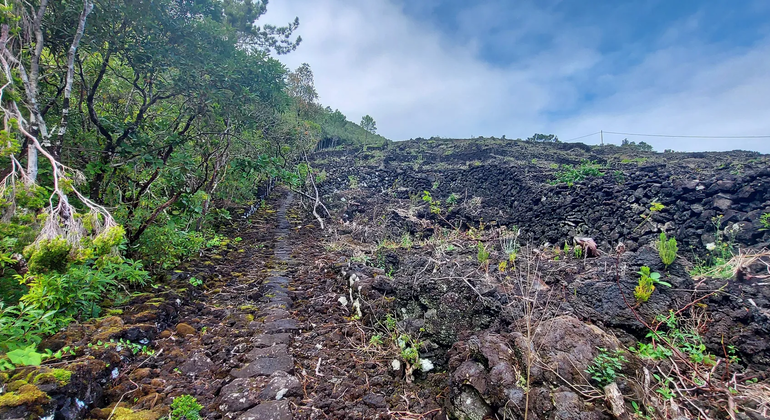 lava-delta-vineyard-unesco-heritage-es-9