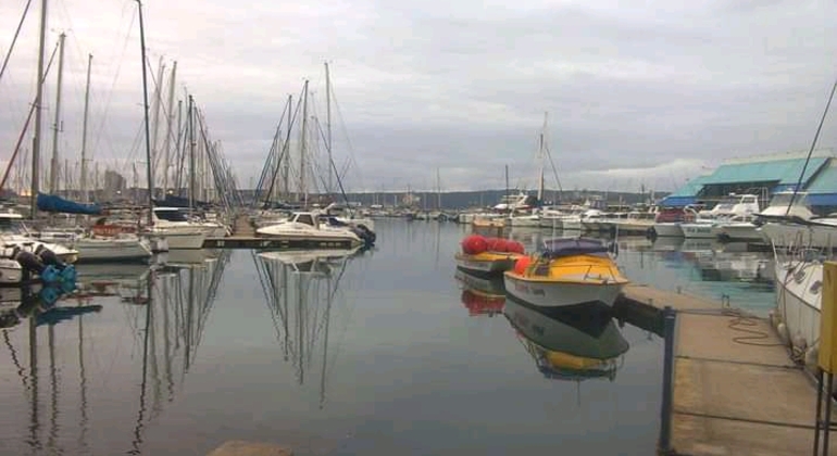 Visite à pied du port de Durban, South Africa