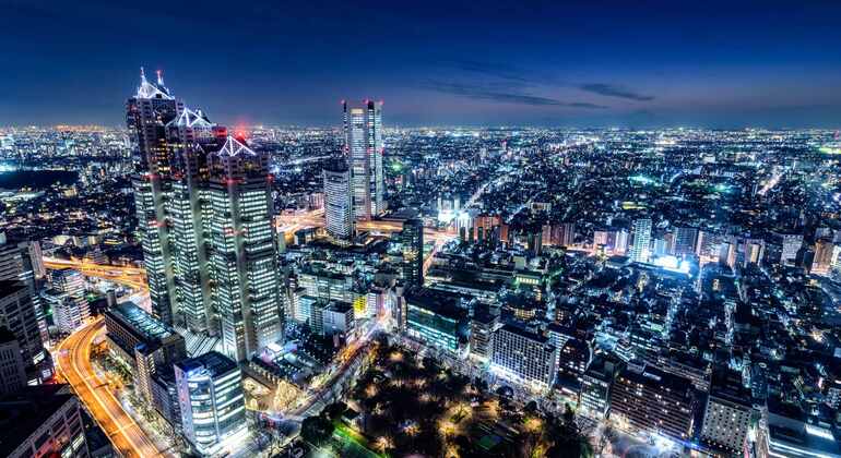 Tour gratuito di Shinjuku Luci e tenebre Fornito da Japan Navigators