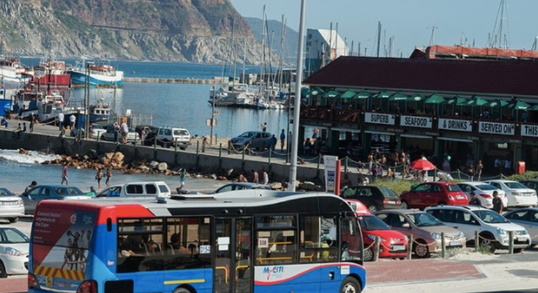 MyCiTi Bus Erlebnis, South Africa