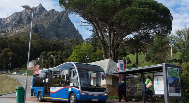 myciti-bus-experience-en-4