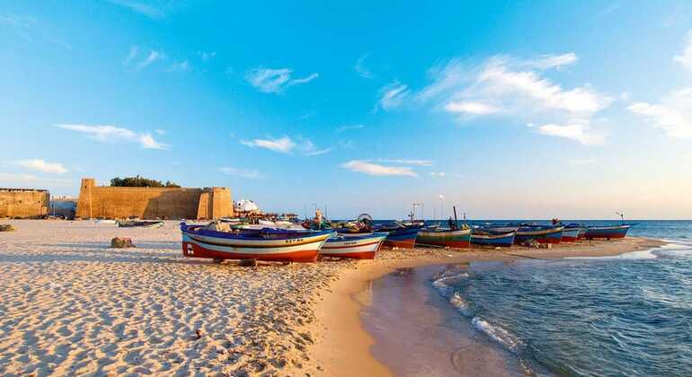 Discover Hammamet, Nabeul, Kelibia & Kerkouane Provided by EXTRA VIRGIN TRAVEL