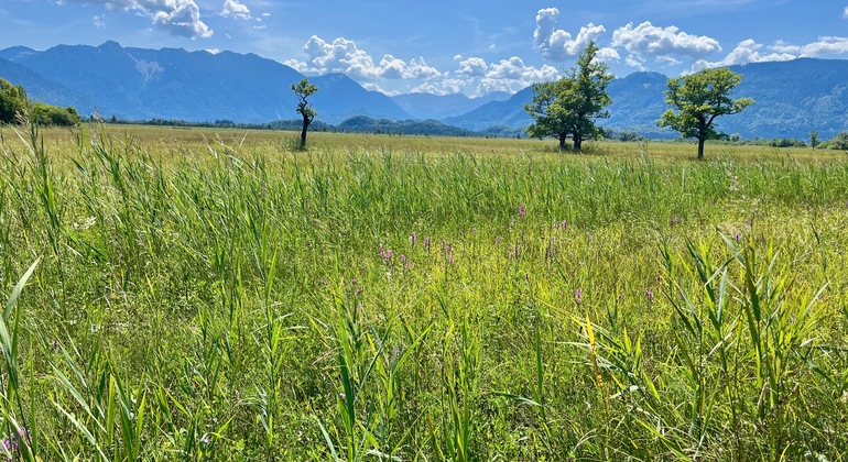 Visite guidée au bord du Murnauer Moos Fournie par Jac Peter