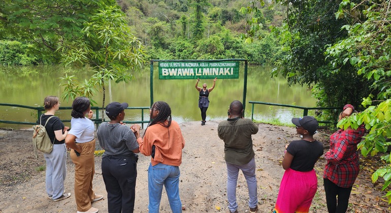 Bosque de Pugu Hills Tanzania — #1