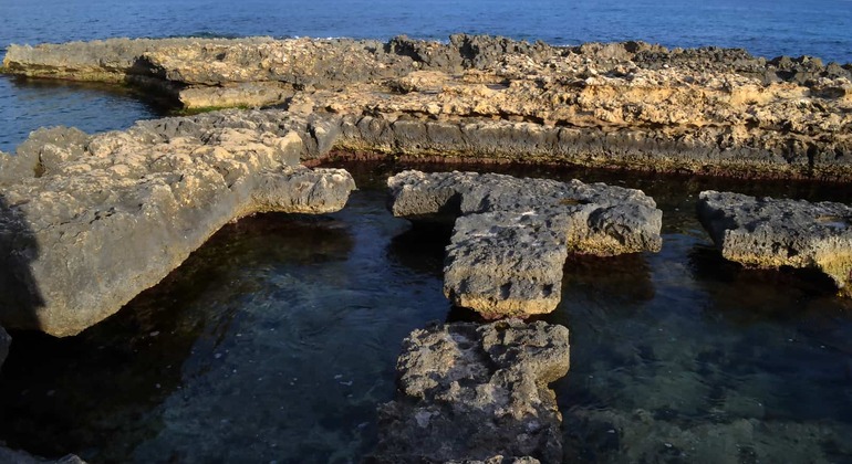 Visita aos tesouros arqueológicos da Illeta dels Banyets