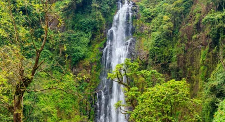 materuni-waterfall-coffee-tour-en-1