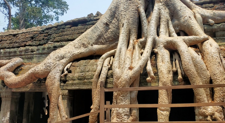 angkor-wat-sunrise-group-tour-en-3