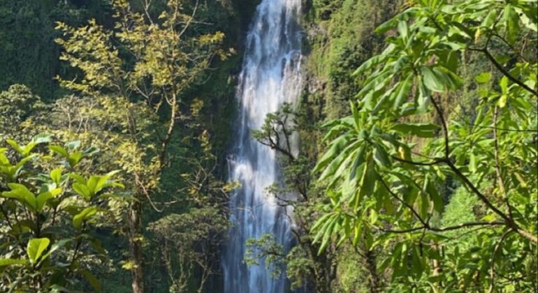 Paseo por la Ciudad de Arusha